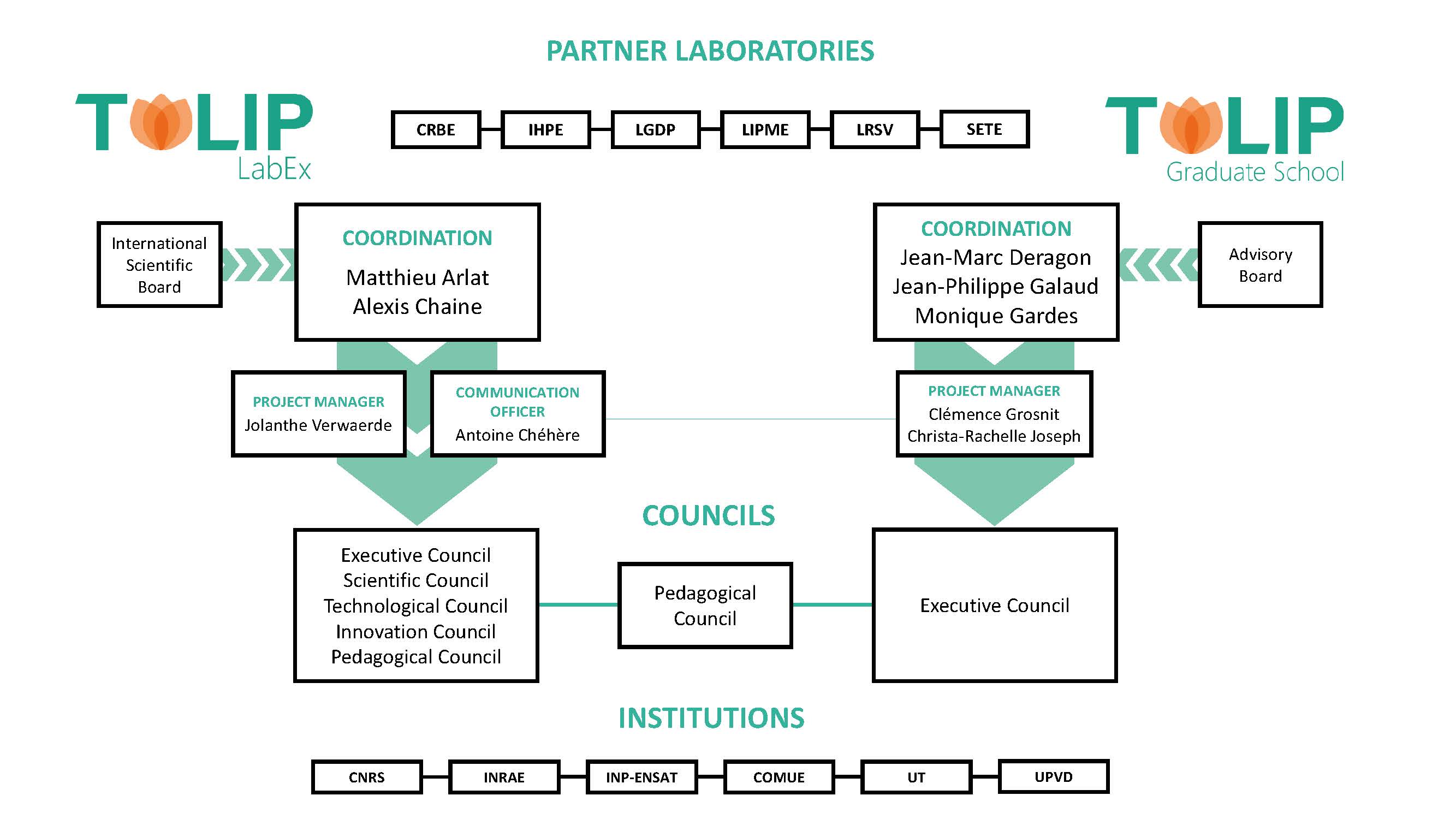 organigrammes sources 2025