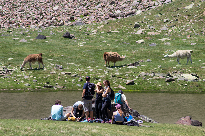 Photo summer school 100